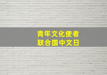 青年文化使者 联合国中文日